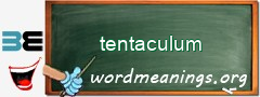 WordMeaning blackboard for tentaculum